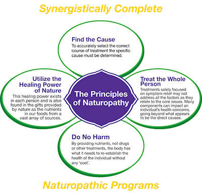 The Principles of Naturopathy