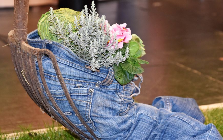 Great Gut Health: The Top 8 Foods for the Digestive System