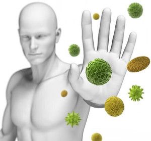 Keeping A Healthy Immune System