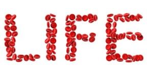 How to Cleanse the Blood