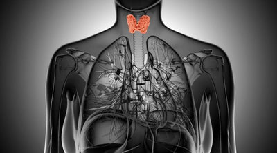 3 Thyroid Facts You Need to Know