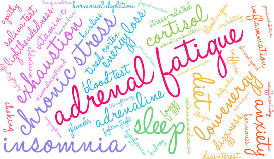 Adrenal Glands: What They Are & How to Care for Them