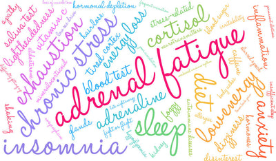 Adrenal Glands: What They Are & How to Care for Them