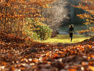 10 Autumn Wellness Tips to Keep You and Your Family Healthy This Fall